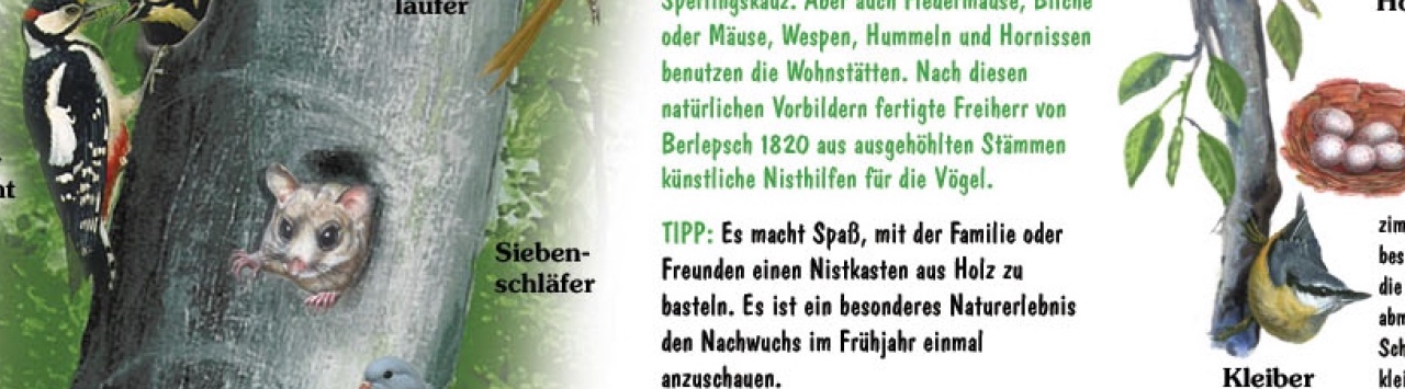 Header-Bild Öffentlichkeitsarbeit