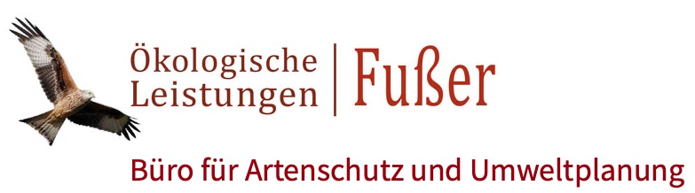 Zweckverbandes Hochwasserschutz Elsenz-Schwarzbach
